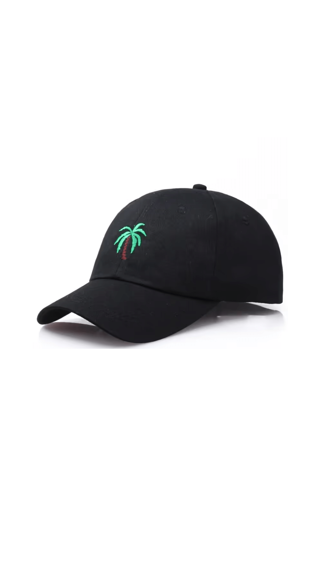 Cap embroidered Palm