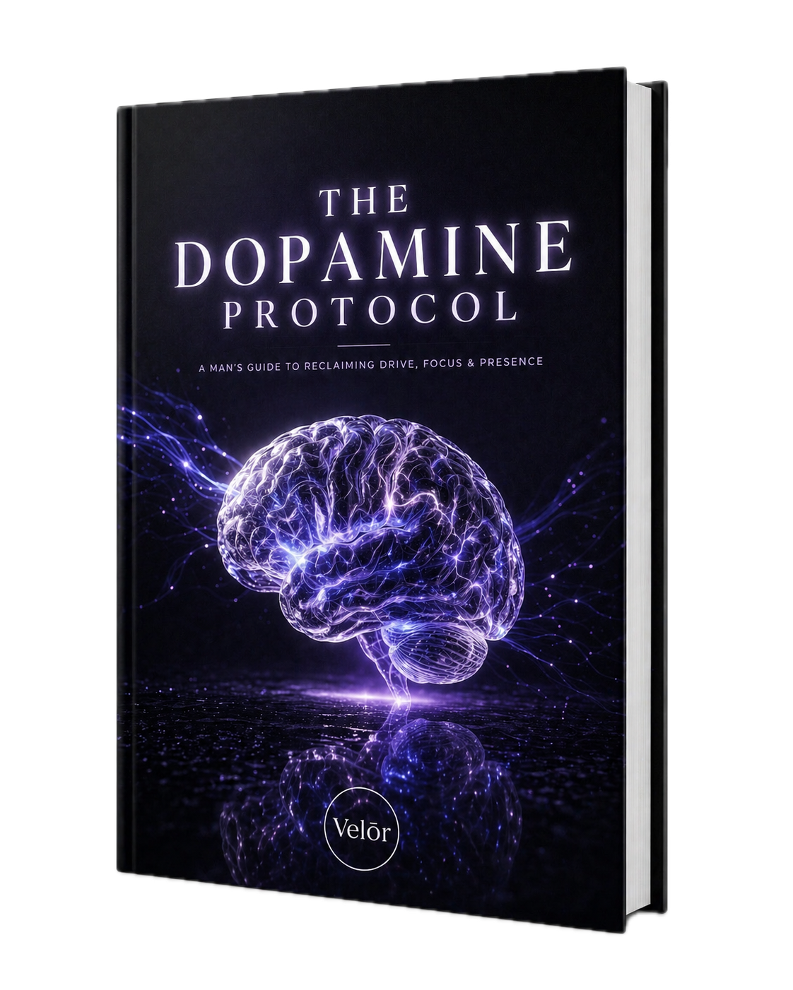 Book "The DOPAMINE Protocol"