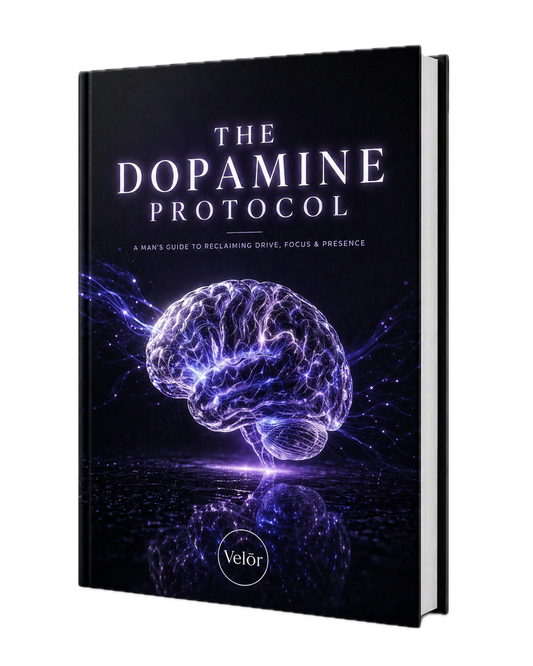 Book "The DOPAMINE Protocol"