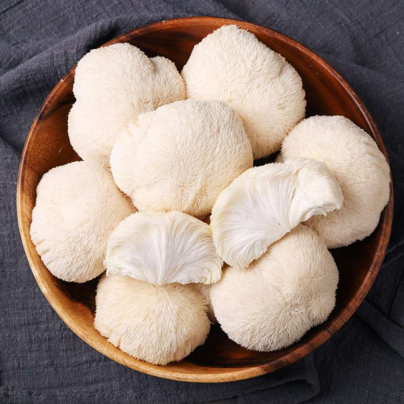 Lion's Mane