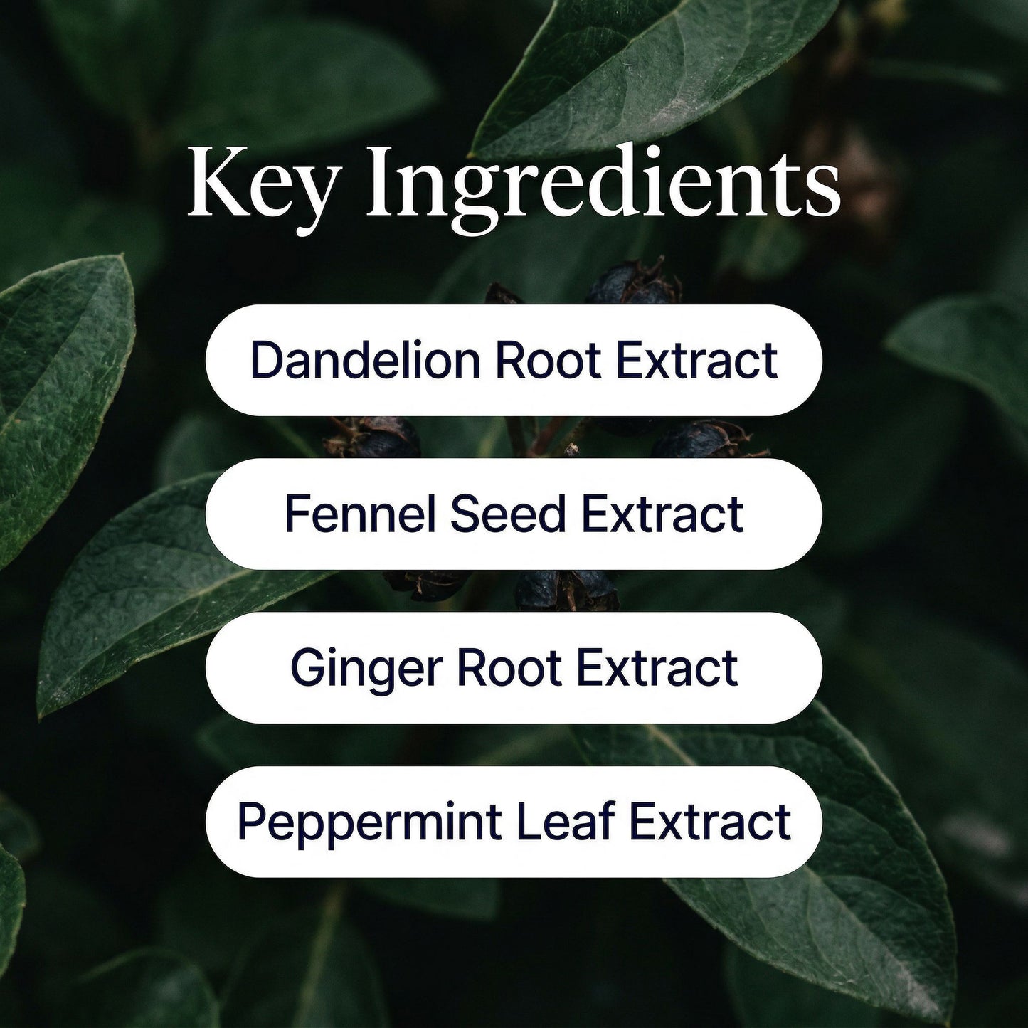 Velōr Unpuff Patches